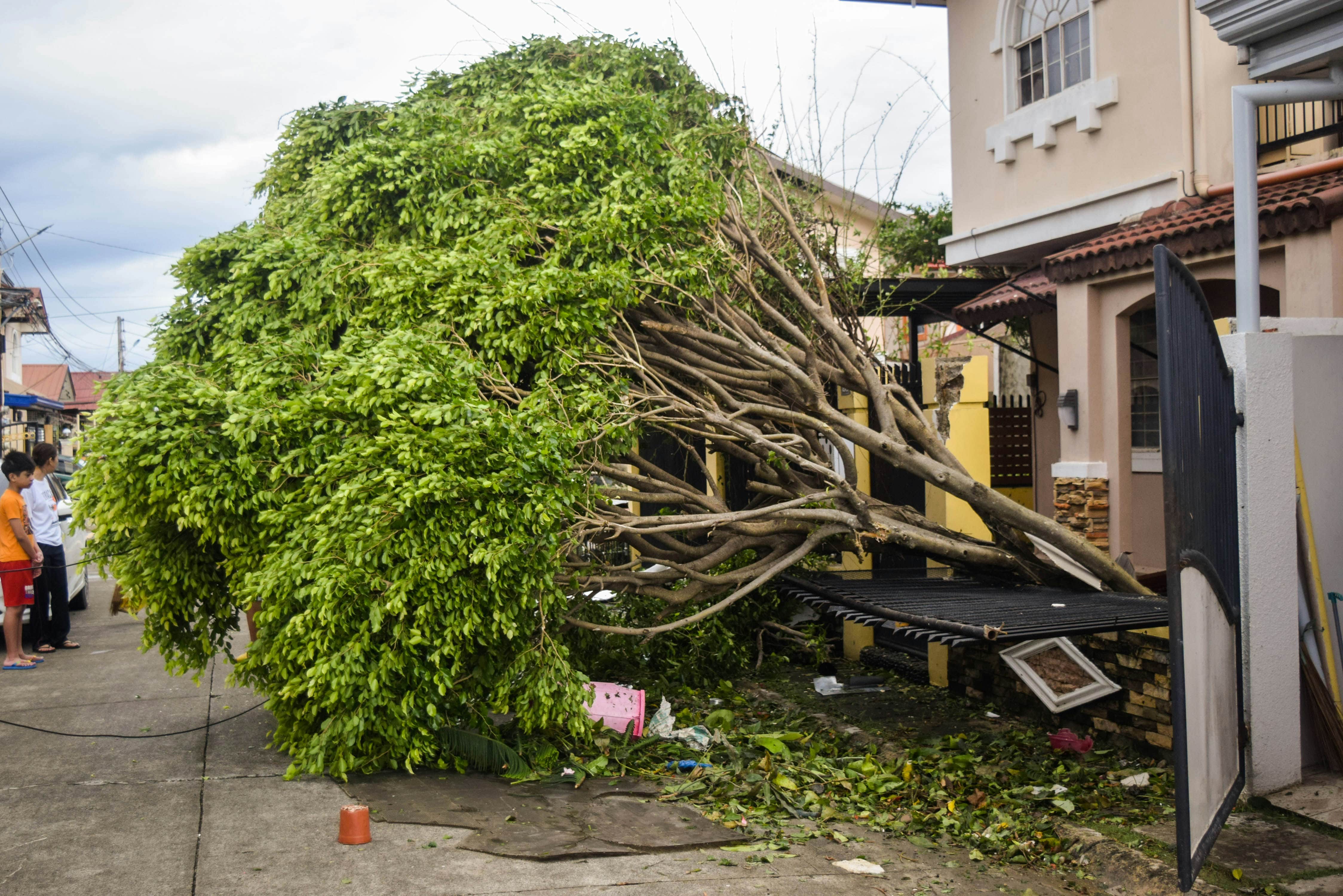 Tree fallen onto a residential structure, emergency removal by Green Oak