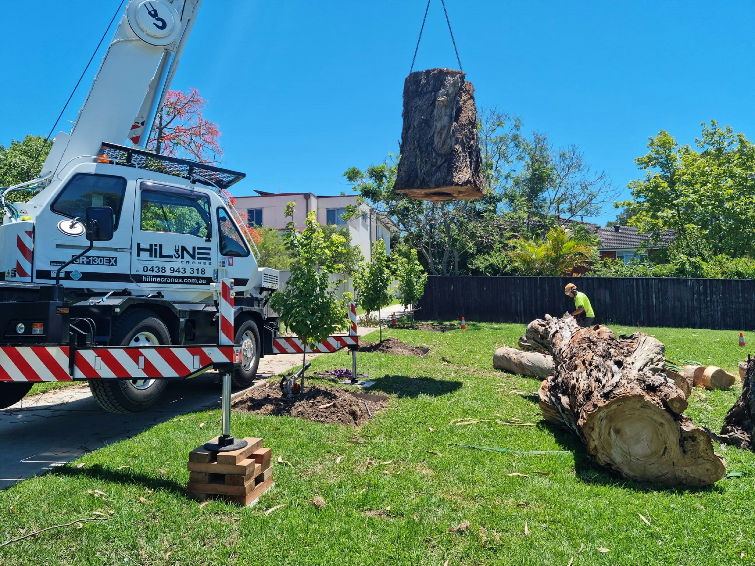 Crane lifting a large tree trunk during a removal job by Green Oak Tree Services in the Albany area